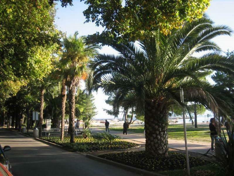 Delfin Apartments Crikvenica Zewnętrze zdjęcie